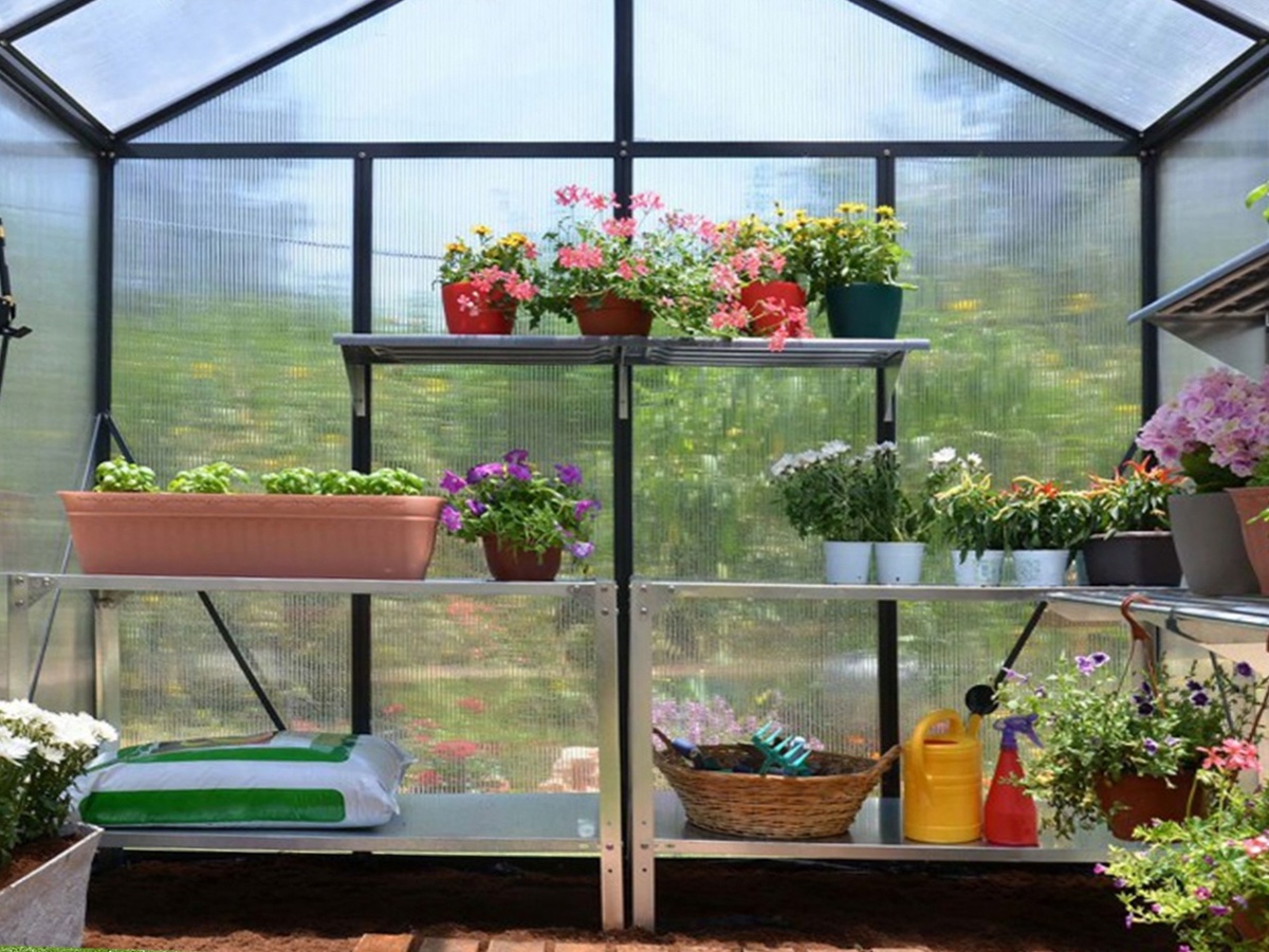 Skleník Scobax Tropic