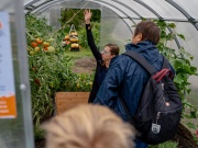 Autonóm üvegházunk egy hortibotanikus napon