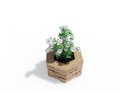 Emelt ágyás Česká Manufaktura Variogrow šestistran