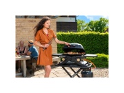 Přenosný plynový gril 4,2 kW se dvěma hořáky a pojízdným skládacím stolkem Riwall PRO RGG 20 Compact SET