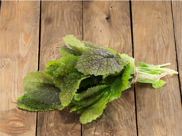 Mit kell termeszteni az üvegházban ősszel