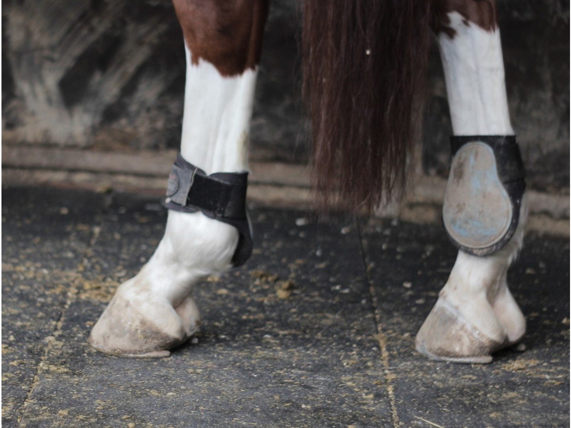 Gumová dlažba Flex Scobax Agro