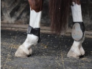 Gumová dlažba Flex Scobax Agro