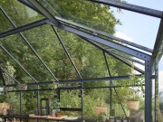 Pavilon / Narancsház Juliana Grand Oase