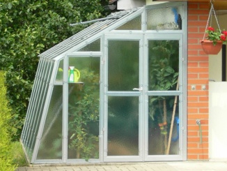 Pěstitelské –  Limes Variant D