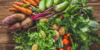 A nyár nem ér véget az üvegházban: őszi ültetés