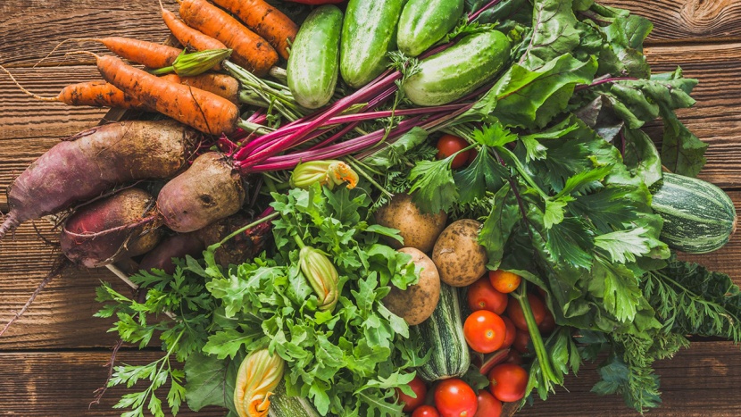 Létem to ve skleníku nekončí