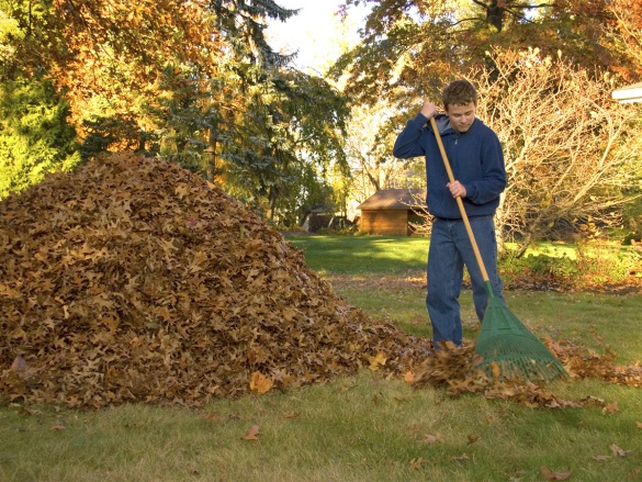Kompletní průvodce zazimováním zahrady