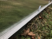 Záhradný skleník z polykarbonátu Gutta Gardentec Classic