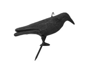 Bradas Plašič ptáků stojací - havran CTRL-BR101