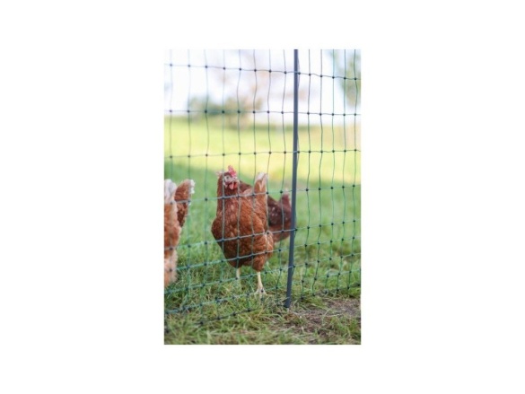 Scobax Síť premium nevodivá pro drůbež 122 cm, 50 m, zelená