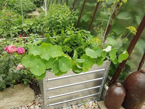 Limes Vyvýšený záhon VZ