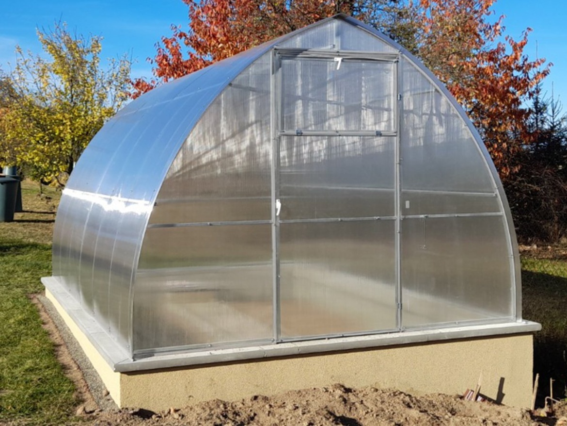 Skleník Scobax Violik