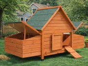 Kurník Scobax Clover