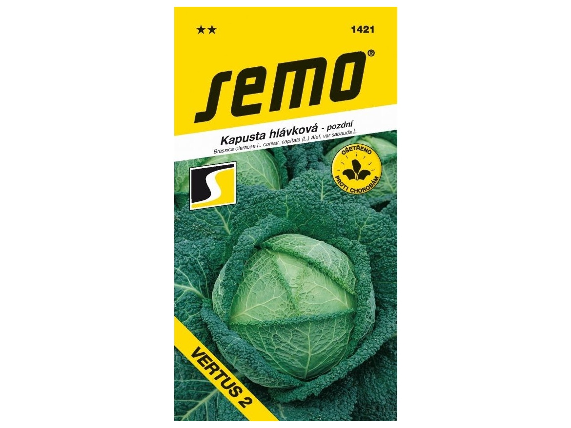 Semo Kapusta hlávková - Vertus 2 pozdní 1g