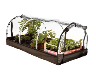 Pěstování –  Biogreen Jumbo