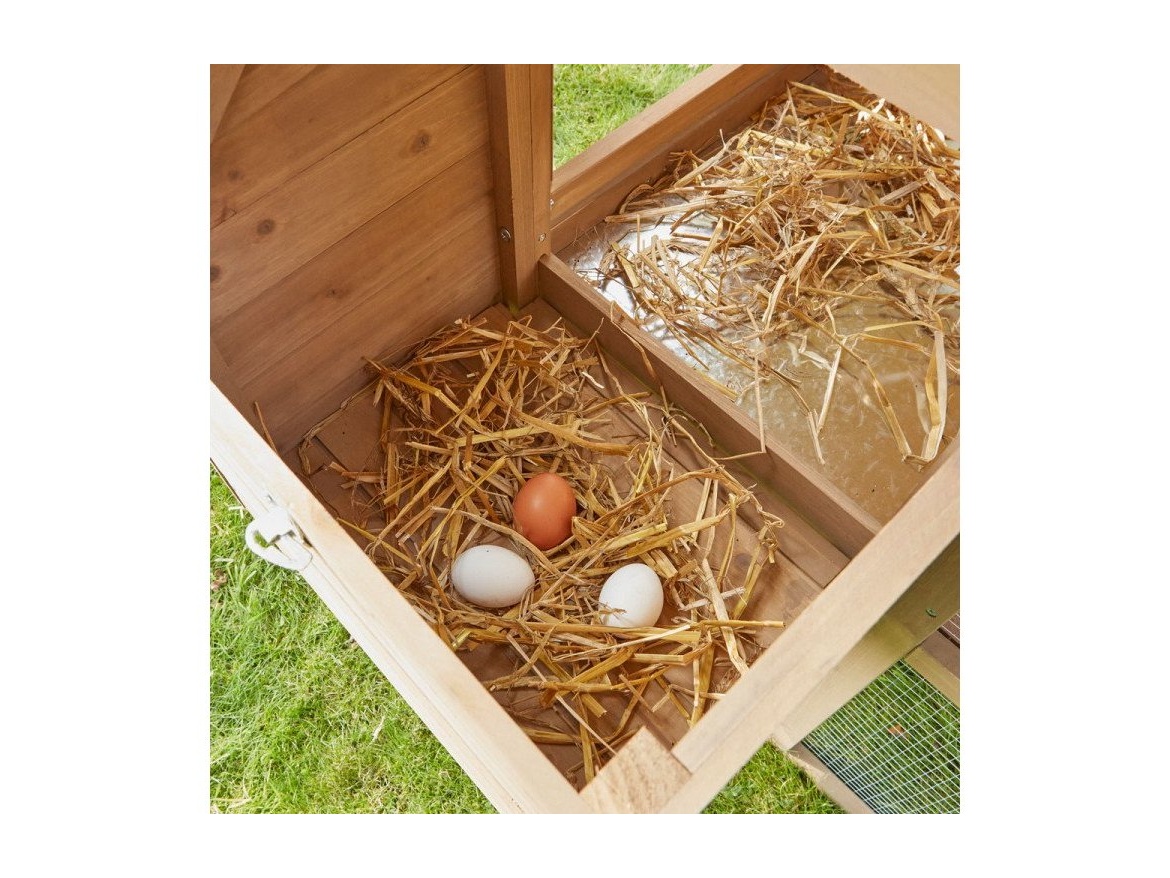 Kurník Scobax Brooks