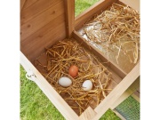 Kurník Scobax Brooks