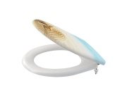 Alcadrain WC sedátko s poklopem, Soft-Close, bílé s motivem, Aladrain A604 SHELL
