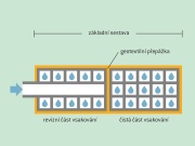 Scobax Vsakovací sada