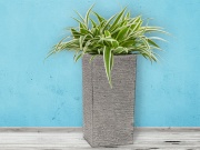 G21 Květináč Natur Tube