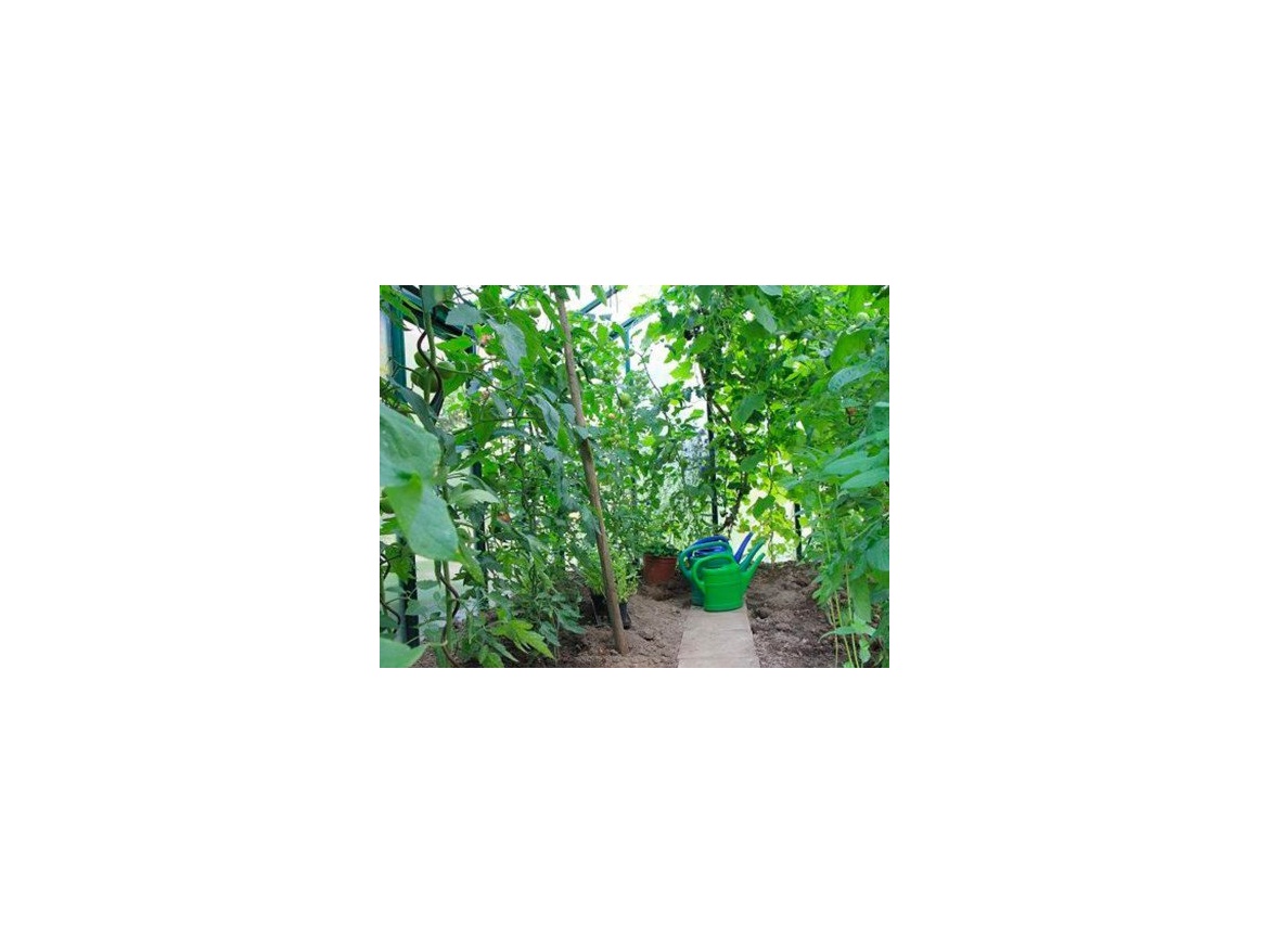 Covernit Spirálová tyč na rajčata