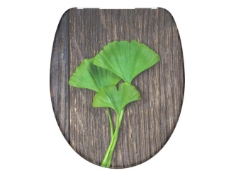 Bývanie – Schütte GINGKO und WOOD | Duroplast, Soft Close