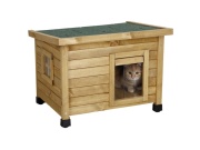 Potreby na chov mačiek