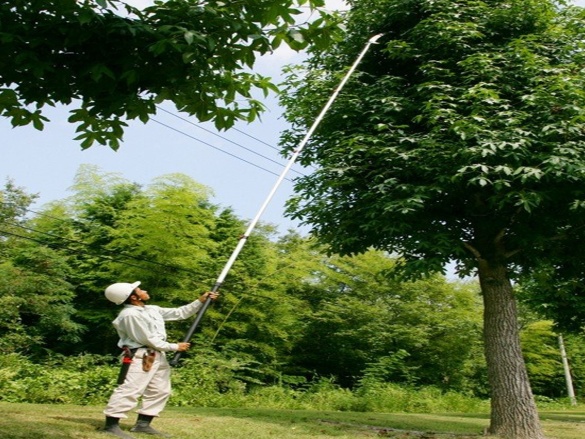 Teleskopická píla Silky Teleskopická pila Hayauchi 4900-6.5