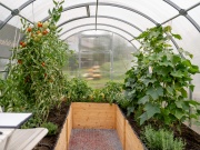 Autonóm üvegházunk egy hortibotanikus napon