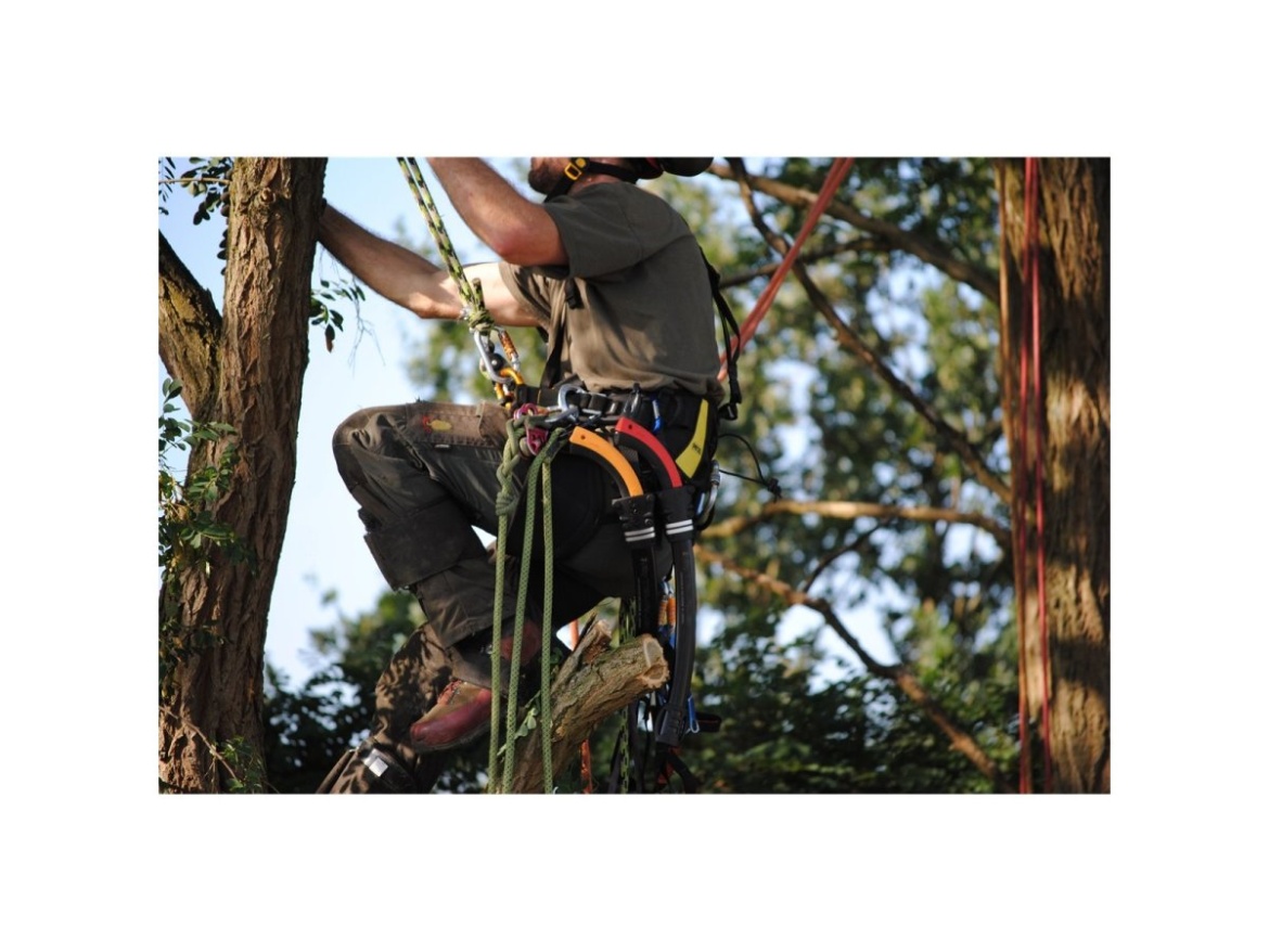 Ruční pila Silky Tsurugi Curve 330-7.5