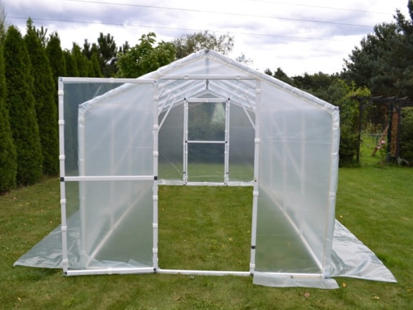 Foliovník Scobax Maple