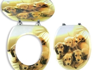 WC-k, bidék és piszoárok –  Novaservis WC sedátko s poklopem, s motivem,  WC/STENATA