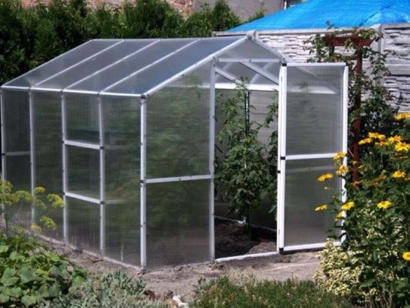 Üvegház Scobax Korunka