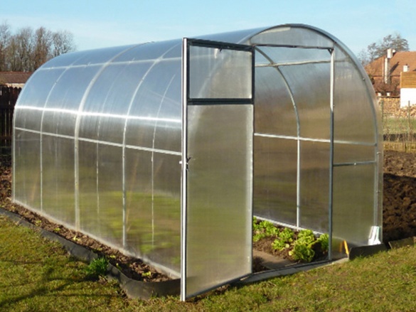 Üvegház Scobax Fasty