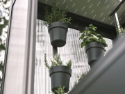 Parenisko Biohort Florentina