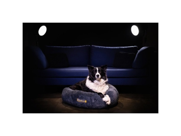 Scobax CROCODOG ORTHOPEDIC PET BED