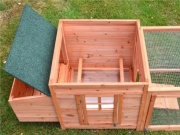 Tyúkól Scobax Sandy