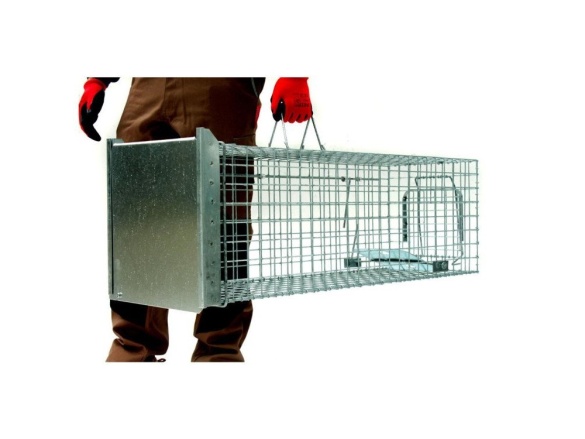 Scobax Profesionální past na lišky, kuny a kočky TRAP ST102x34x34
