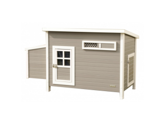 Kurníky –  Scobax Henny