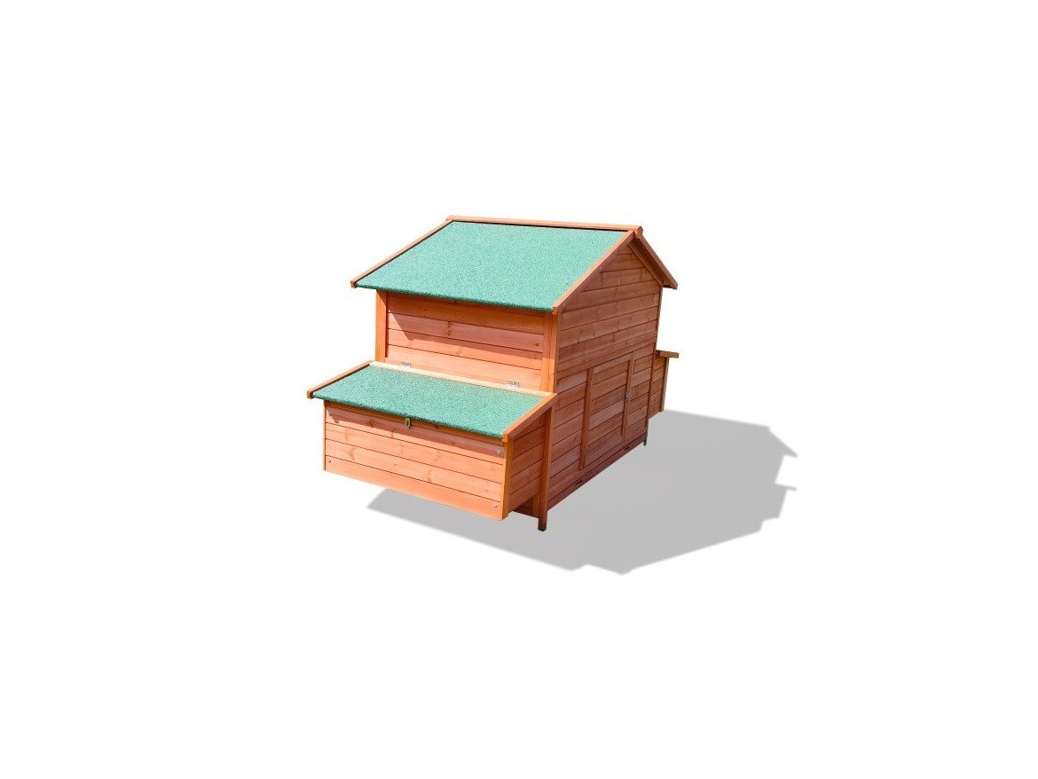 Tyúkól Scobax Duckens