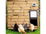Scobax Komplet otevírání a zavírání kurníku CHICKEN GUARD PRO 25x30