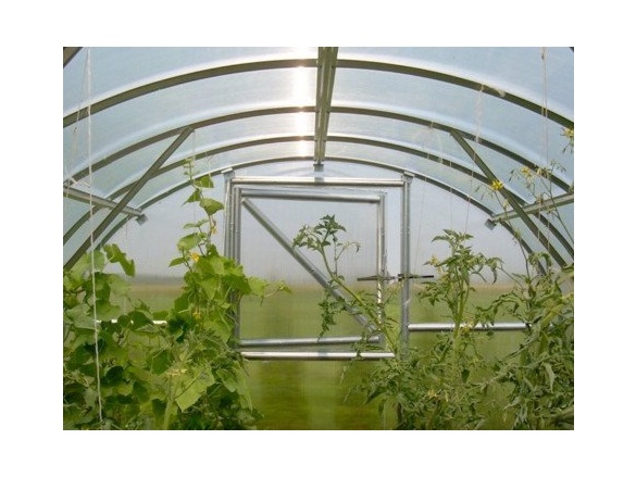 Covernit Konstrukce zahradního skleníku Classic