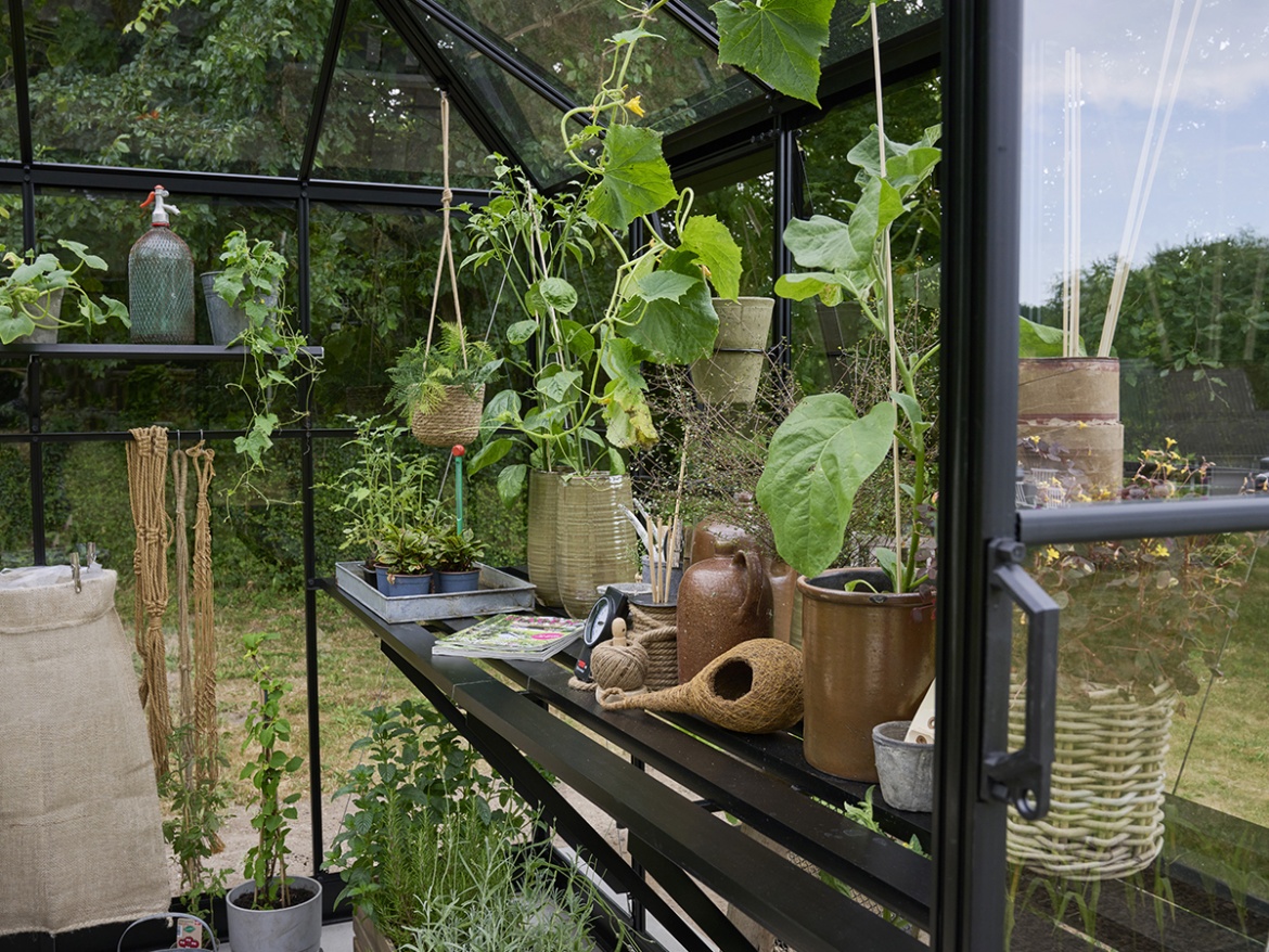 Kilátótorony Halls Qube Square