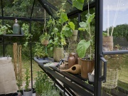 Pavilon Halls Qube Square