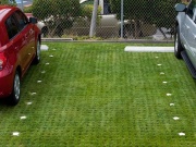 Ako vybrať zatrávňovaciu dlažbu?