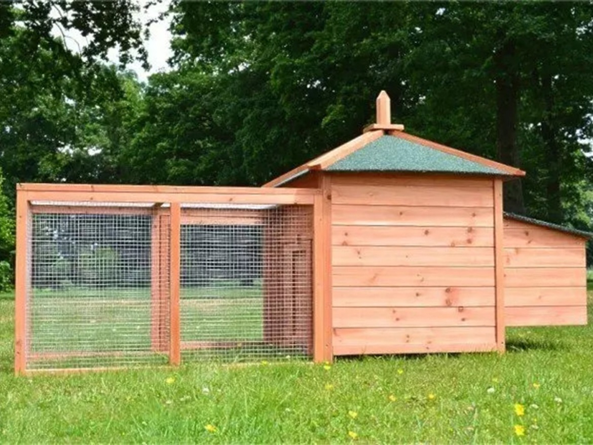 Tyúkól Scobax Sandy