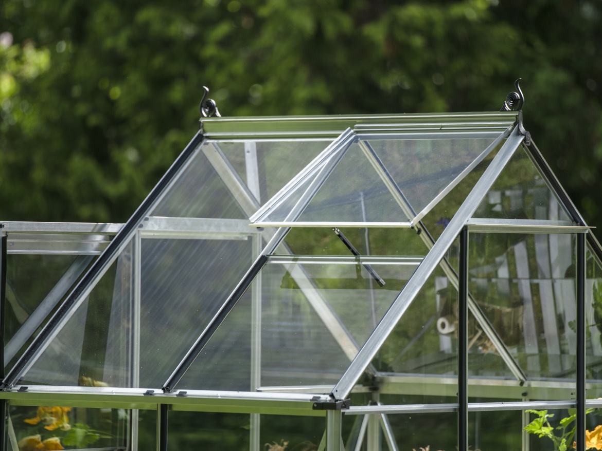 Skleník Halls Icon 6