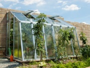 Skleník ke zdi Limes Primus D