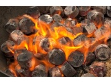 Casus Grill Dřevěné Brikety pro grilování -